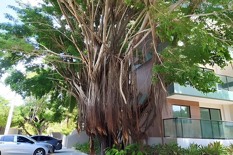 Beijupira Exclusive 006 - Porto de Galinhas