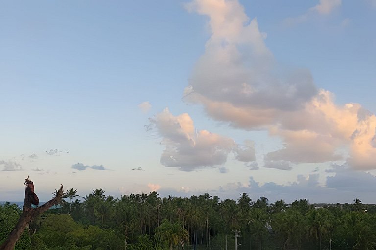 Beijupira Exclusive 006 - Porto de Galinhas