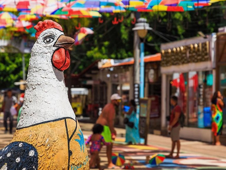 Beijupira Exclusive 006 - Porto de Galinhas