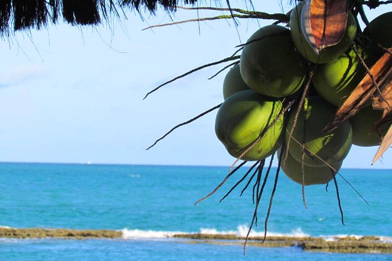 Flat Marinas | Pé na Areia em Carneiros