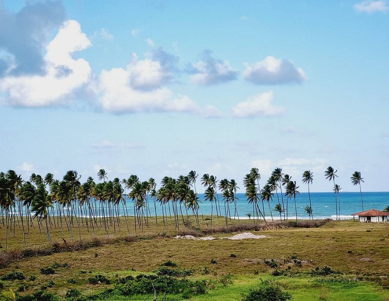 Cupe Exclusive | Praia Paradisíaca